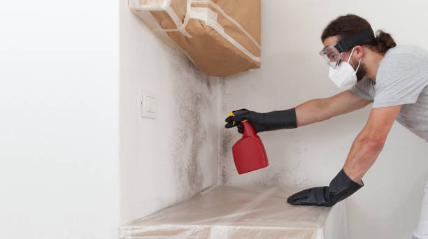 Professional Bathroom Mold Removal technician working in Basking Ridge, NJ