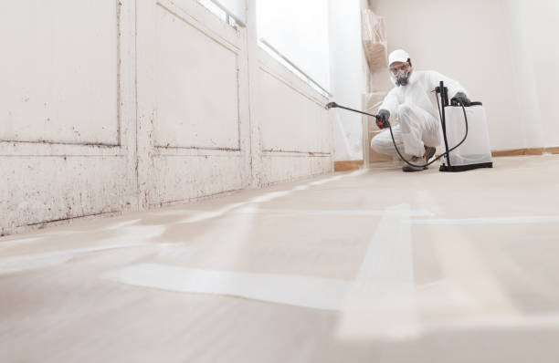 24/7 Emergency Bathroom Mold Removal experts in Basking Ridge, NJ