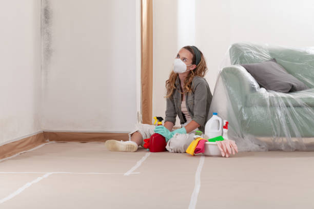 Reliable Bathroom Mold Removal contractor in Basking Ridge, NJ by WQB Mold Removal